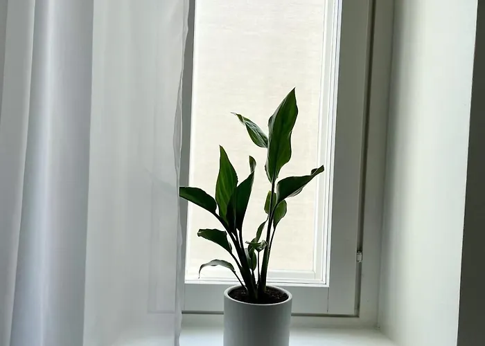 Apartmán Beautiful & Peaceful In The Heart Of Helsinky